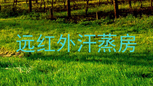 远红外汗蒸房