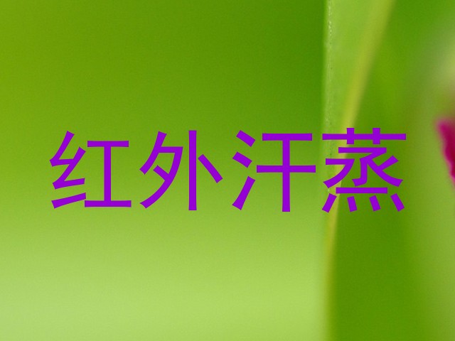 红外汗蒸