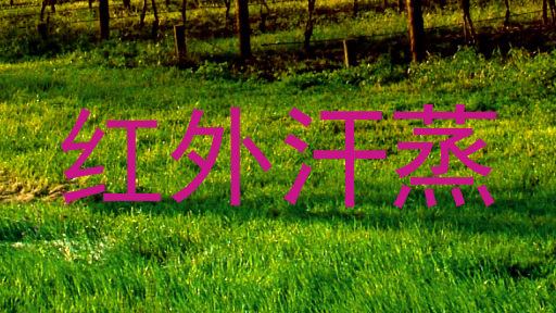 红外汗蒸