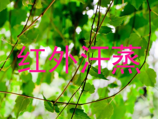 红外汗蒸