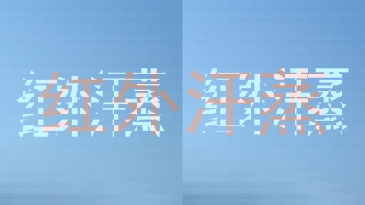 红外汗蒸