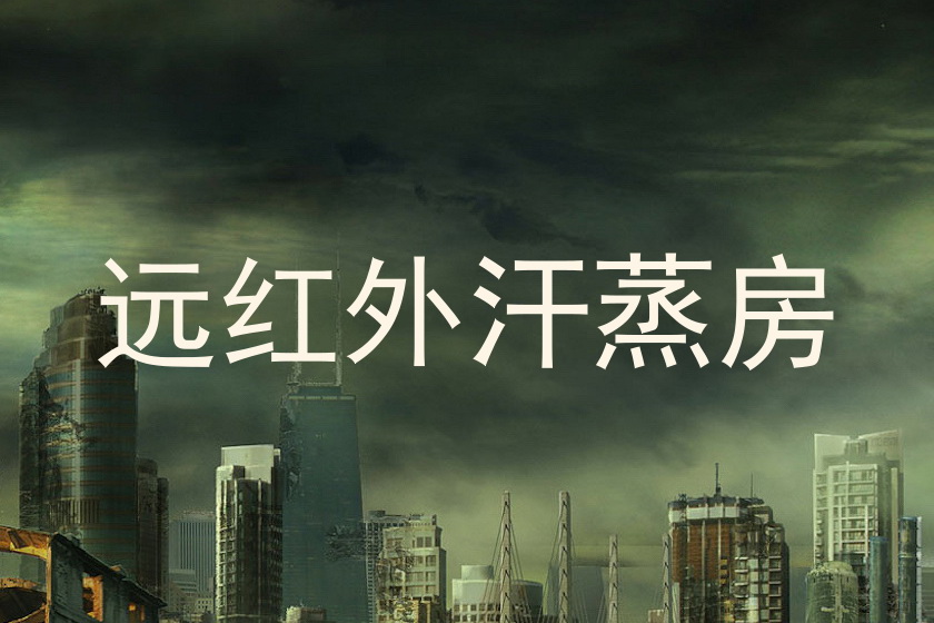 远红外汗蒸房