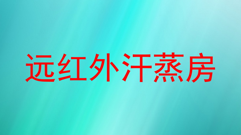 远红外汗蒸房