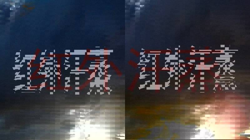 红外汗蒸