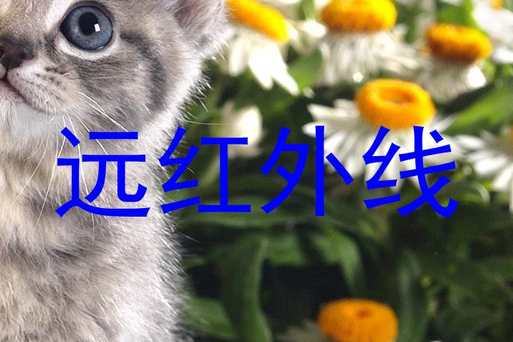 远红外线