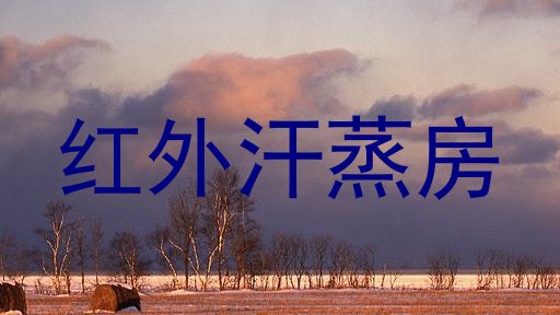 红外汗蒸房