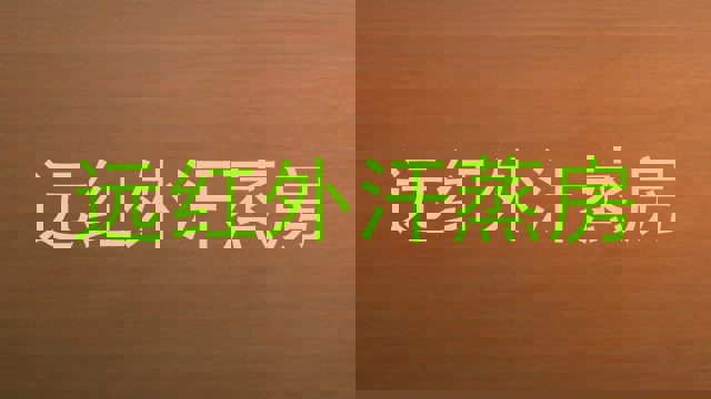 远红外汗蒸房