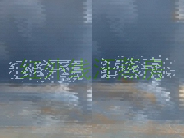 红外线汗蒸房