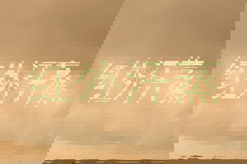 红外汗蒸