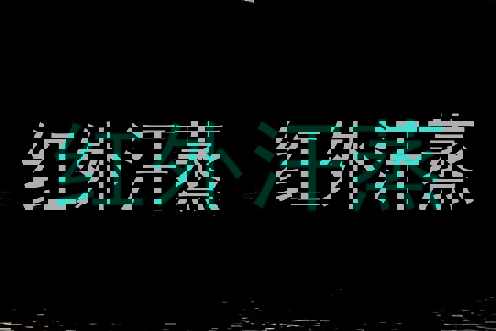红外汗蒸