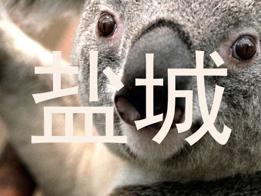 盐城