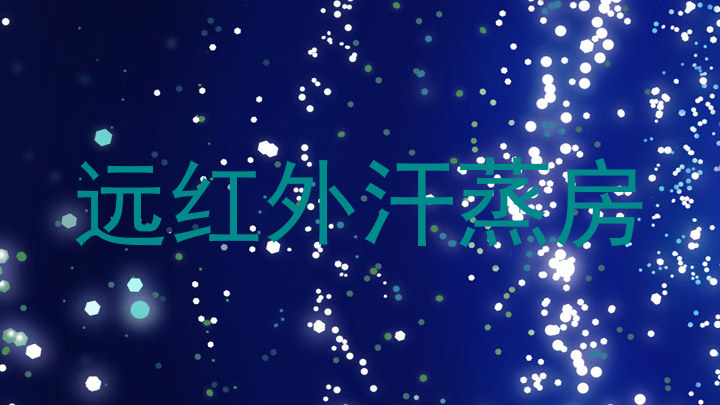 远红外汗蒸房