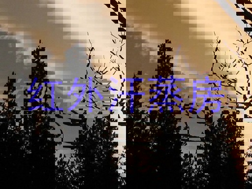 红外汗蒸房