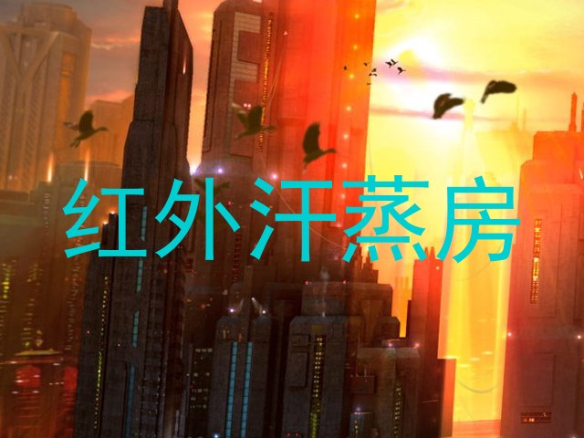 红外汗蒸房