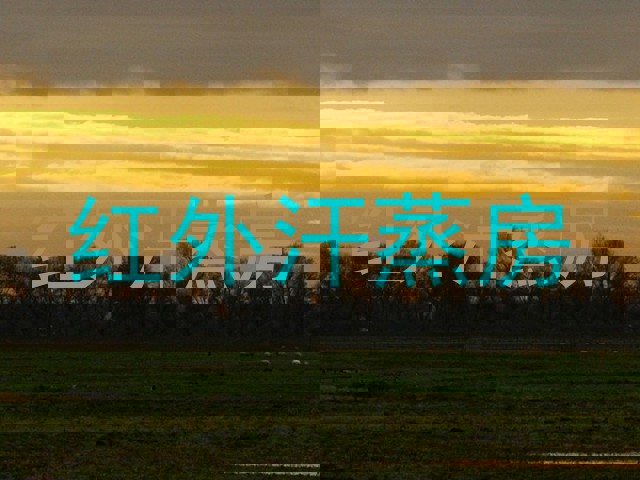 红外汗蒸房
