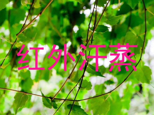 红外汗蒸
