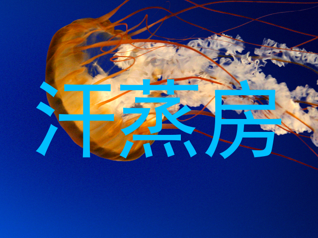 汗蒸房