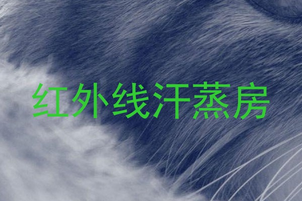 红外线汗蒸房
