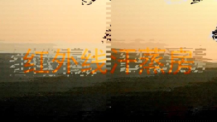 红外线汗蒸房