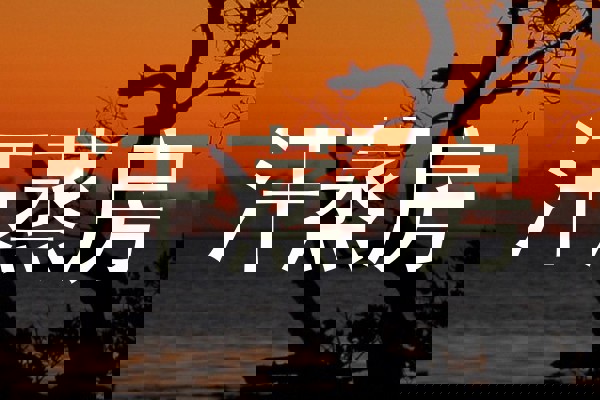 汗蒸房