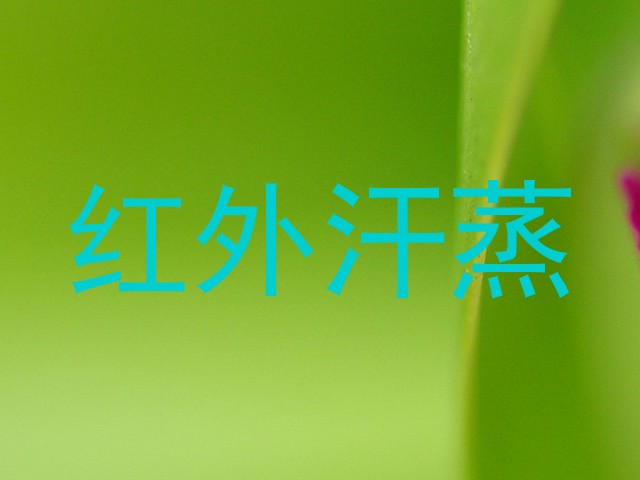 红外汗蒸