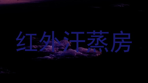 红外汗蒸房