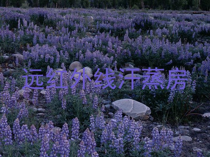 远红外线汗蒸房