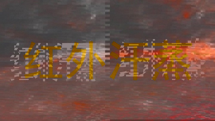 红外汗蒸
