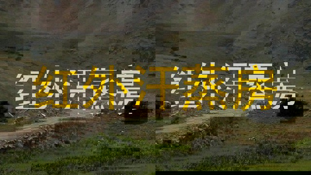 红外汗蒸房