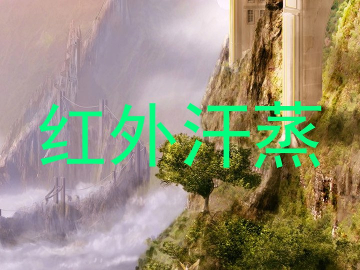 红外汗蒸