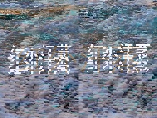 红外汗蒸