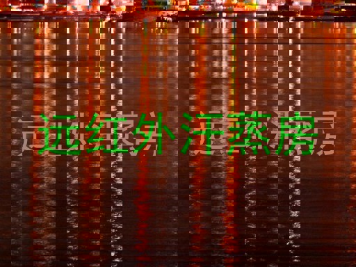 远红外汗蒸房