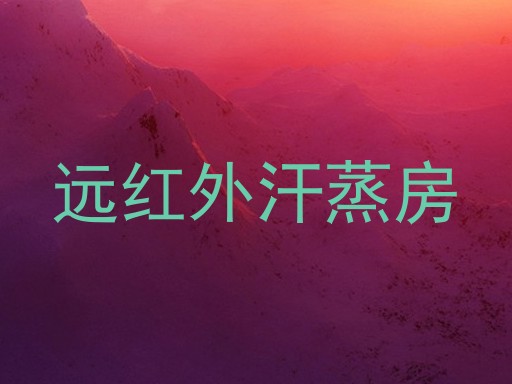 远红外汗蒸房