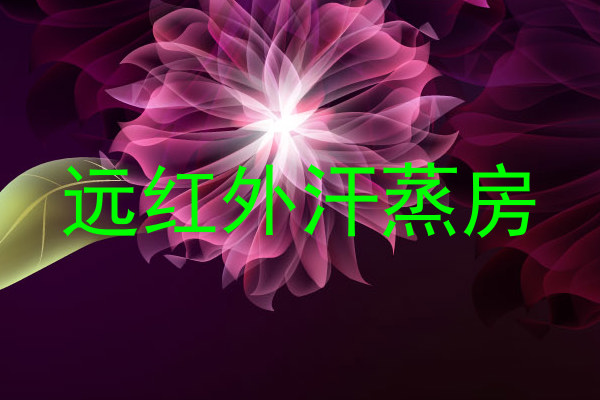 远红外汗蒸房