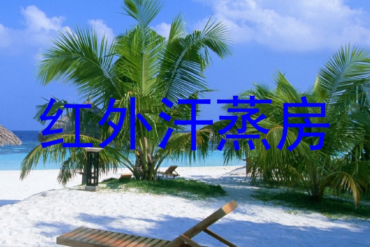 红外汗蒸房