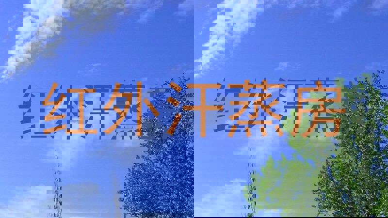 红外汗蒸房