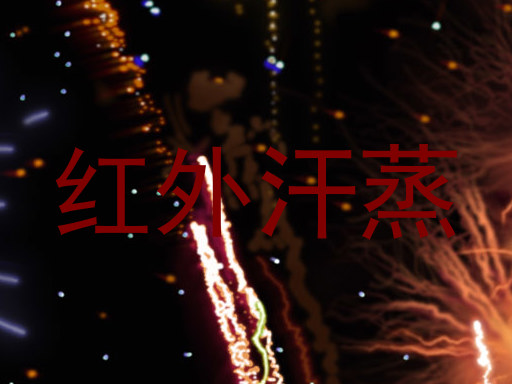 红外汗蒸