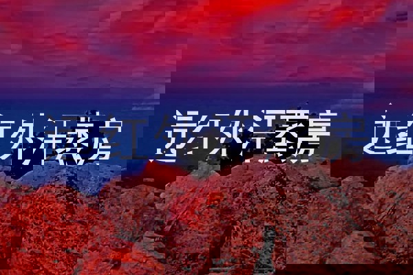 远红外汗蒸房
