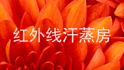 红外线汗蒸房
