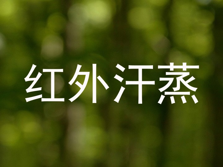 红外汗蒸