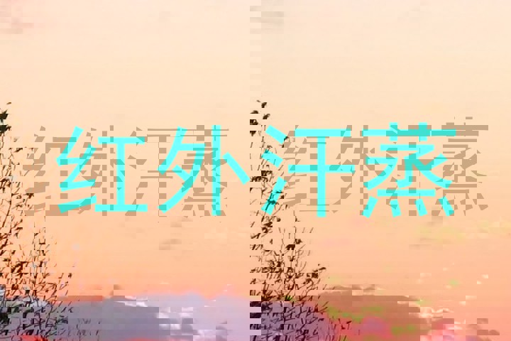 红外汗蒸