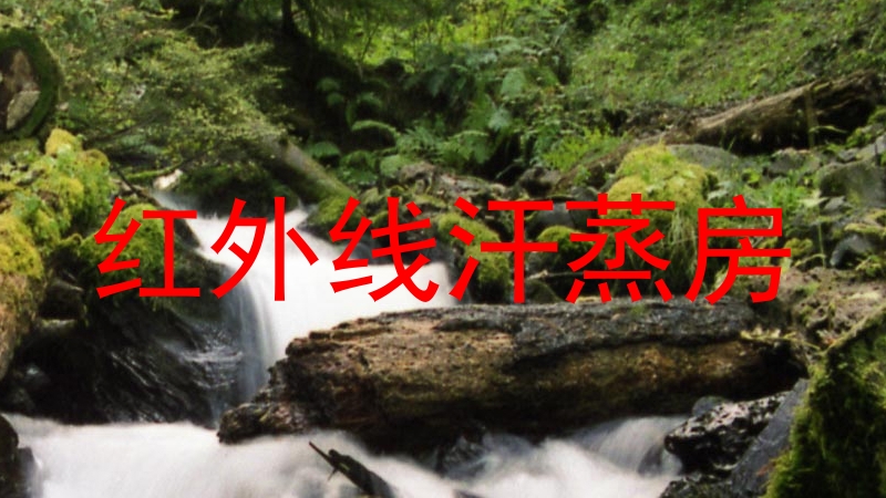 红外线汗蒸房