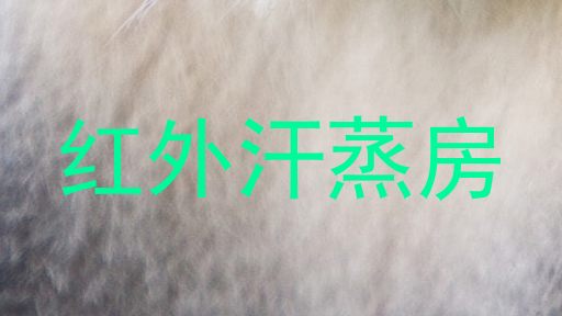 红外汗蒸房
