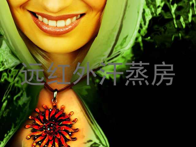 远红外汗蒸房