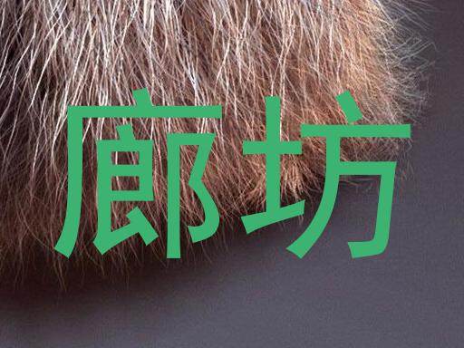 廊坊