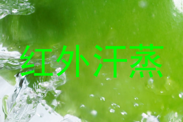 红外汗蒸