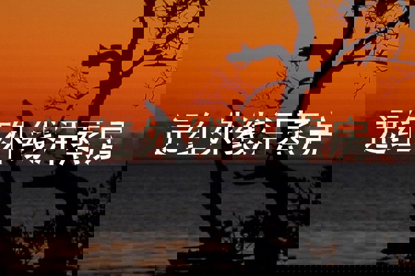 远红外线汗蒸房