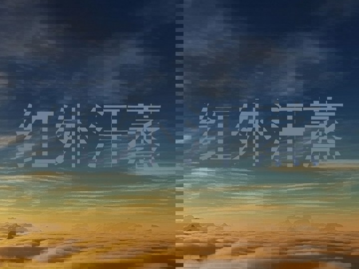 红外汗蒸