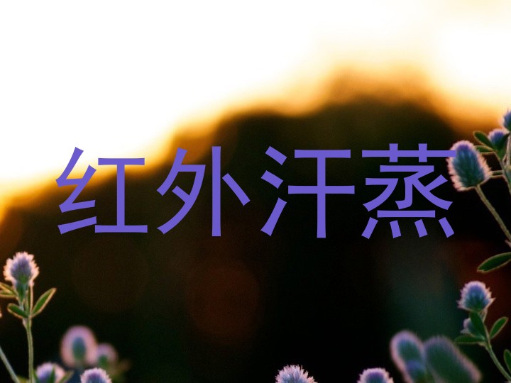 红外汗蒸