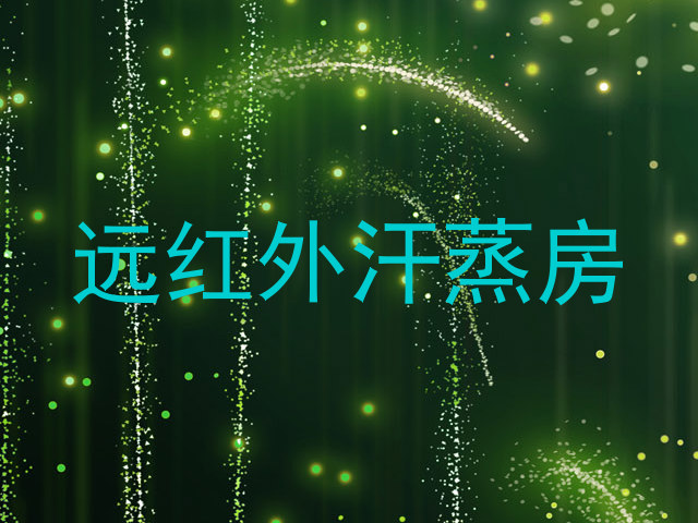 远红外汗蒸房